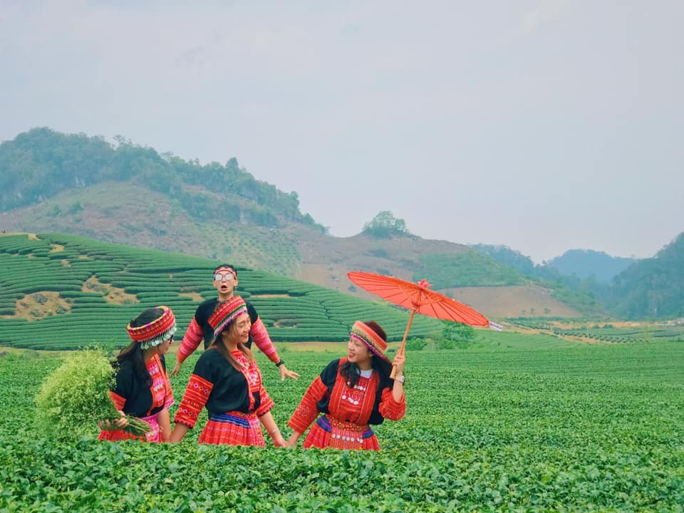 3 reasons why Moc Chau is a travel option near Hanoi